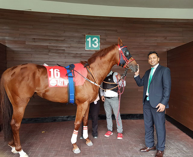 New Approach Bloodstock