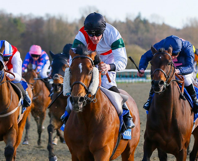 New Approach Bloodstock