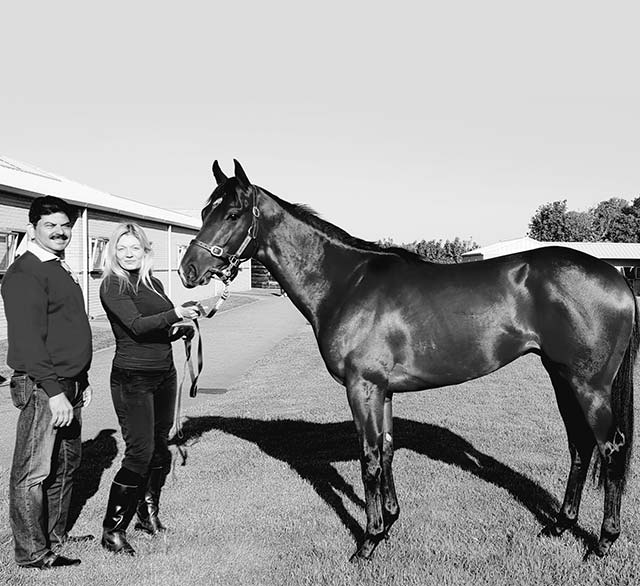 New Approach Bloodstock