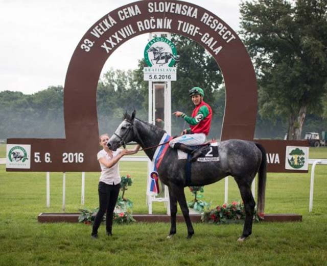 New Approach Bloodstock