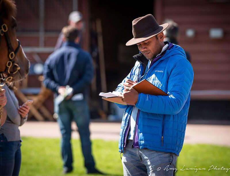 New Approach Bloodstock