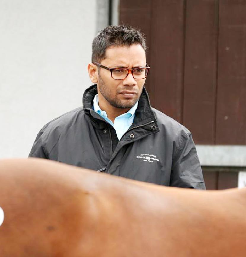 New Approach Bloodstock