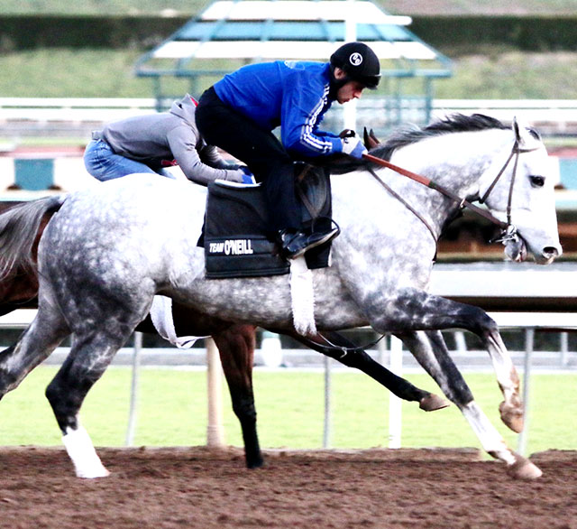 New Approach Bloodstock